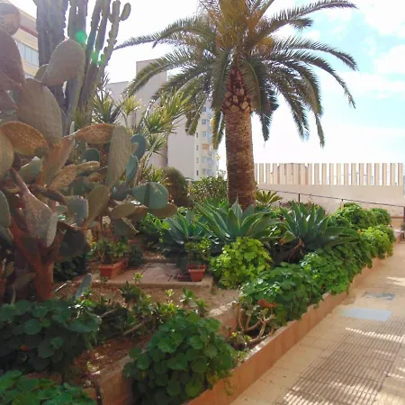 President 3ºd Calpe