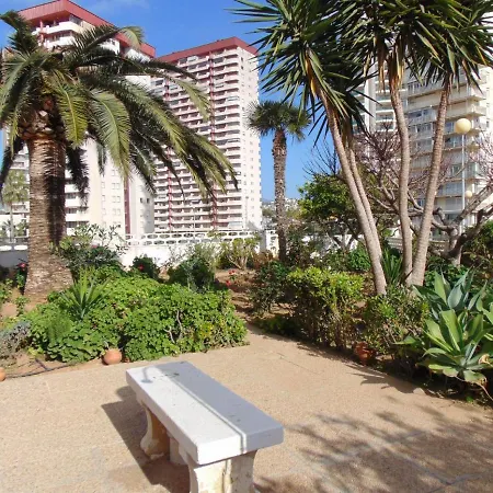 President 3ºd * カルプ